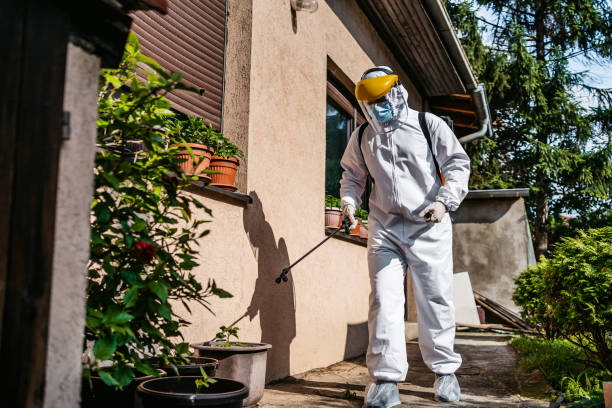 Best Termite Control Services  in Portland, TX