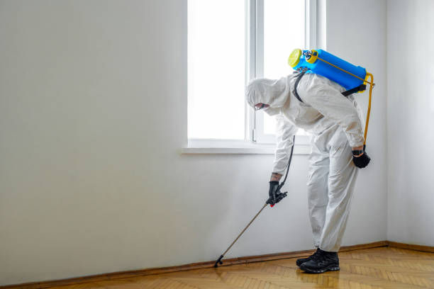Reliable Portland, TX Pest Control Solutions