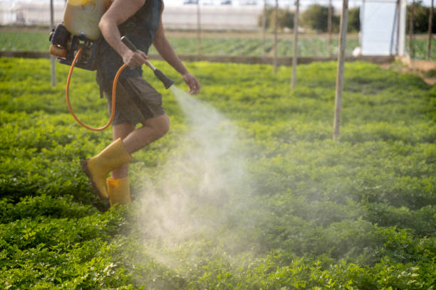 Best Best Pest Control Companies  in Portland, TX