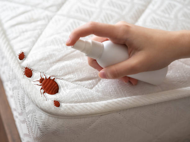 Best Pest Removal Services  in Portland, TX