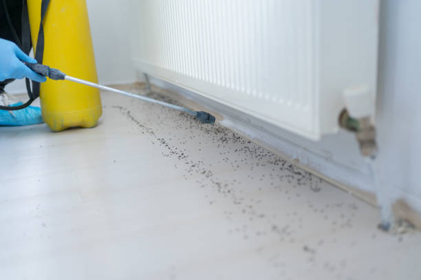 Best Rat Extermination Near Me  in Portland, TX